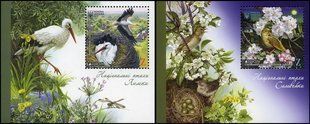 EUROPA Birds