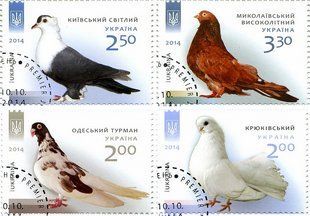 Голуби (гашені)