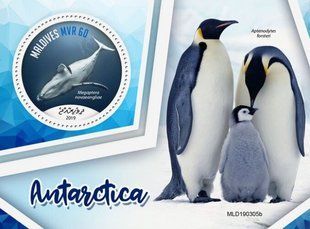 Antarctica