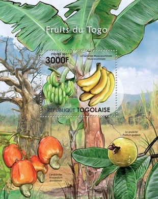 Fruits of Togo