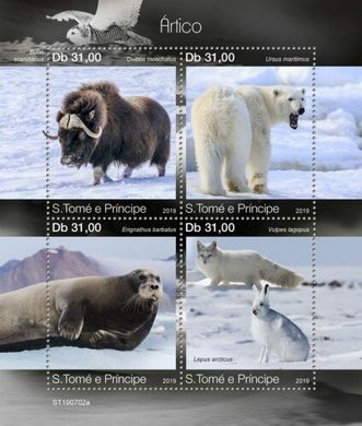 Арктические животные