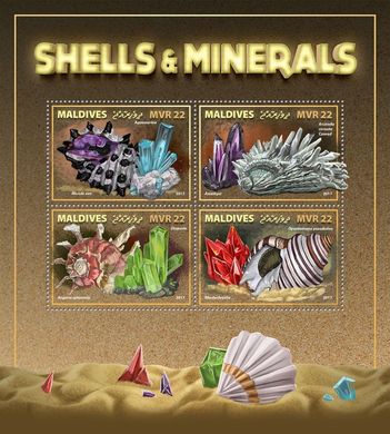Shells and minerals