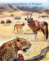 Fauna of the Kalahari Desert