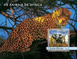 Тварини Африки