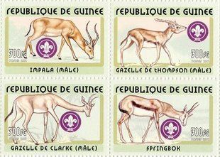 Antelopes