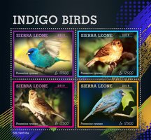 Птицы индиго
