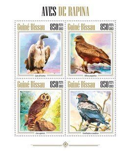Predator birds