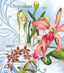 Orchids