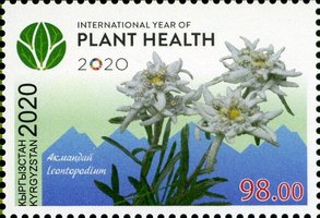Міжнародний рік охорони рослин