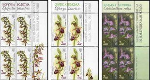Orchids