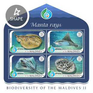 Fauna. Marine life