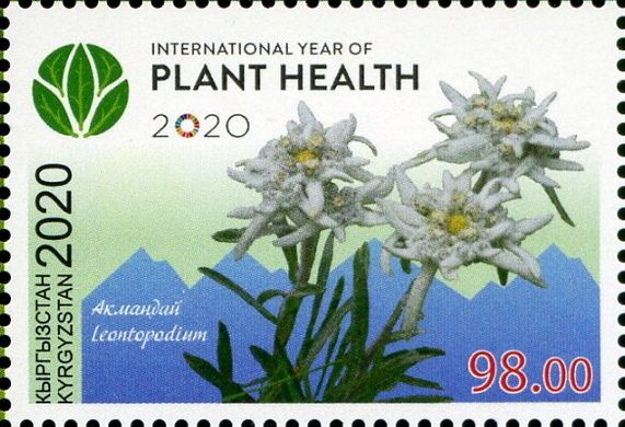 International Year of Plant Conservation