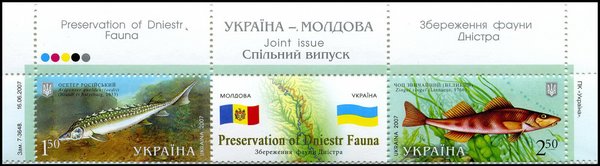 Україна-Молдова Риби