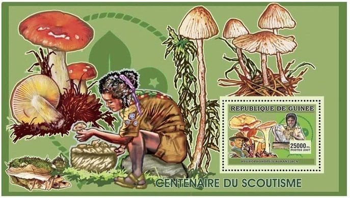 Scouts. Fungi