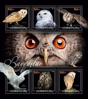 Own stamp. Owls
