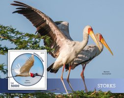 Storks