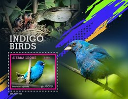 Птицы индиго