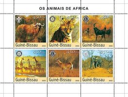 Тварини Африки