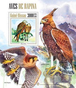 Predator birds