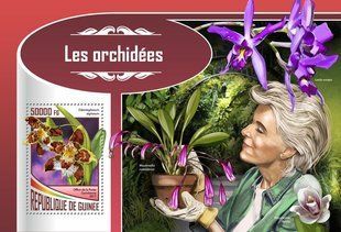 Орхідеї