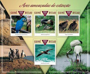 Endangered birds