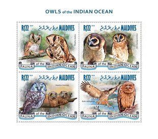 Owls