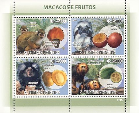 Macaques and fruit