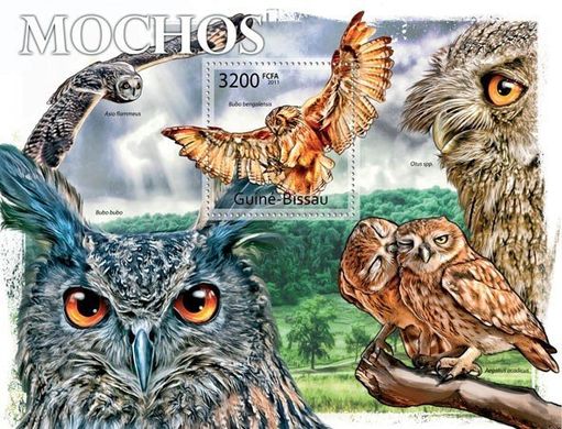 Owls