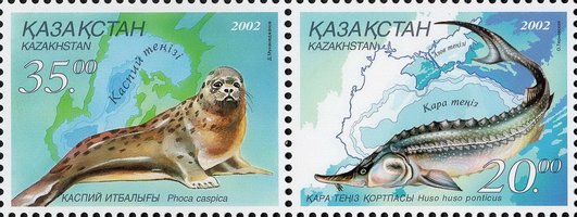 Казахстан-Украина Морская среда