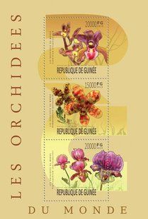 Orchids