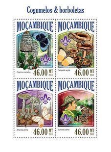 Гриби. Метелики