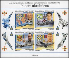 Ukrainian pilots (toothless)