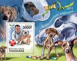 Year of Veterinary Medicine