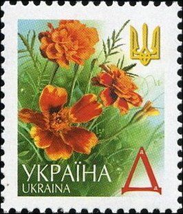 V стандарт Д Чорнобривці