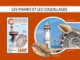 Lighthouses and shells
