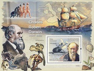 Charles Darwin. Dinosaurs. Sailing vessel