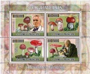 Alexander Fleming