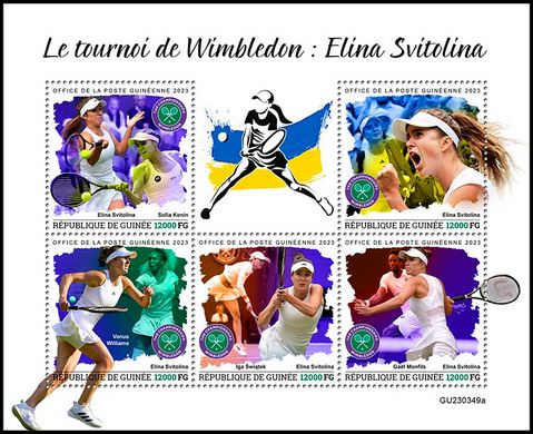 Wimbledon Tennis : Elina Svitolina