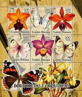 Butterflies and orchids