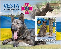 Dog "Vesta"