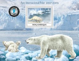 Международный полярный год