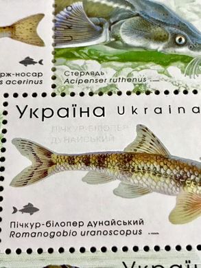 Red Book of Ukraine Fish