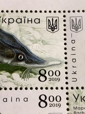 Червона книга України Риби