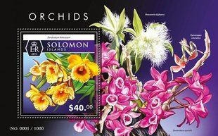 Orchids