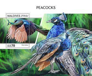 Peacocks