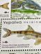 Красная книга Украины Рыбы