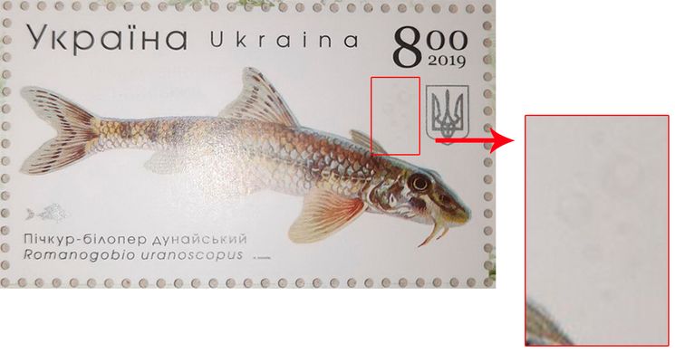 Red Book of Ukraine Fish