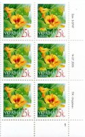 2005 0,25 VI Definitive Issue 5-3747 (m-t 2005) 6 stamp block RB1