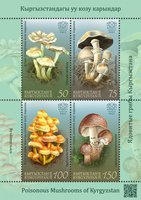 Отруйні гриби