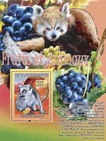 Fruits and animals